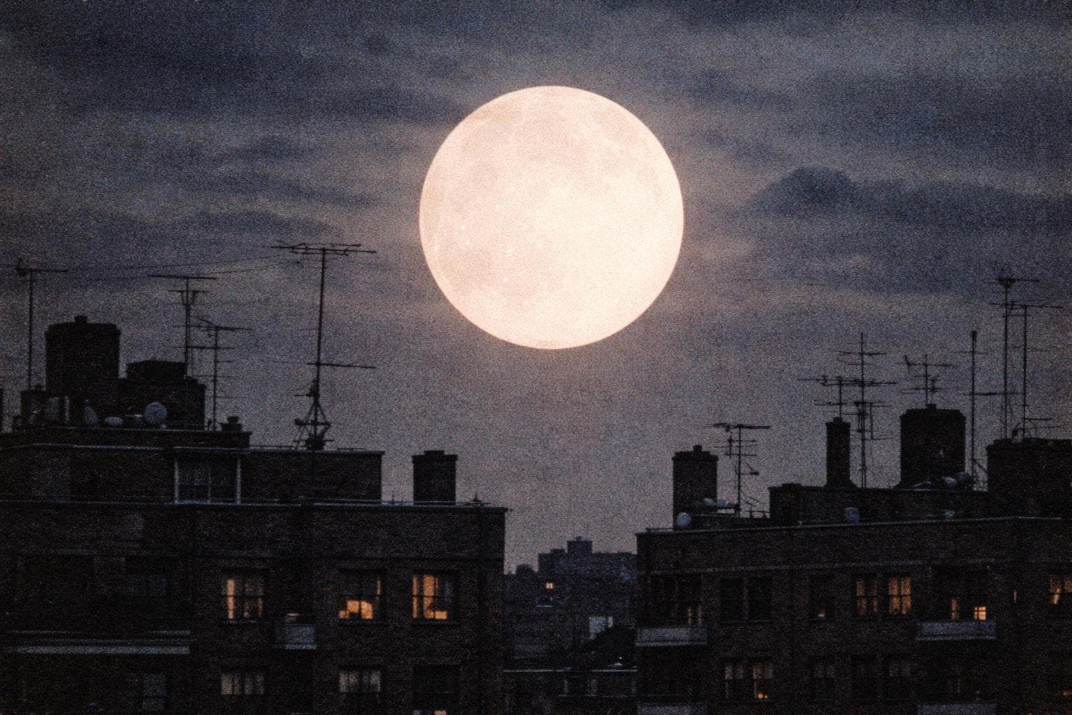 The moon, as photographed from the TNNN roof on Tuesday evening. The moon was smooth.